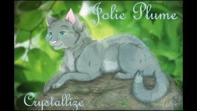 Lettre J : Jolie Plume
Qui Plume Grise préférait-il entre elle et son frère, Pelage dOrage ?