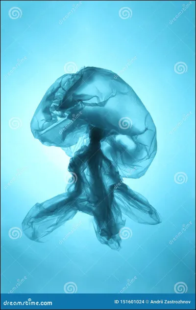 Les méduses survivent sans cur, cerveau ou poumons. Elles sont composés de 95 % d'eau, et leurs mouvements sont régis par l'écoulement de l'eau dans laquelle ils vivent.