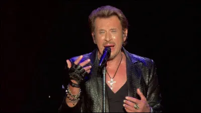 Johnny Hallyday est le musicien dont les disques sont les plus vendus de France avec environ 80 millions de ventes de disques à ce jour.