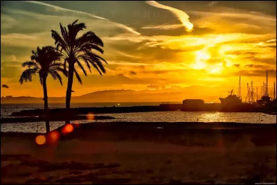 Qui chante "Y'a du Soleil" ?