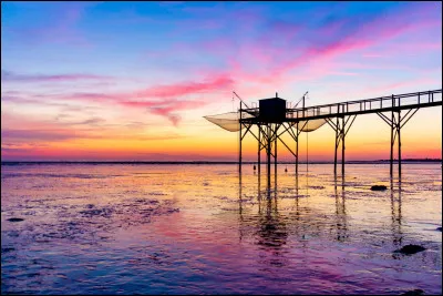 Qui chantait "Il est mort le soleil" ?