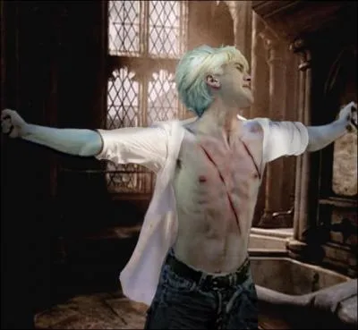 Quel sort es-tu en train de jeter  Malefoy ?