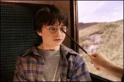 Quel sort dois tu utiliser pour rparer les lunettes de Harry ?