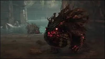 Quel est le nom de cet animal ?