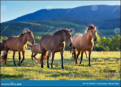 Quelle importance a le regard des autres pour toi ?