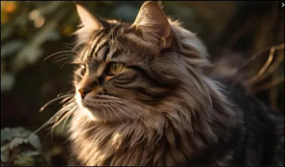 Quel est ton animal préféré ?