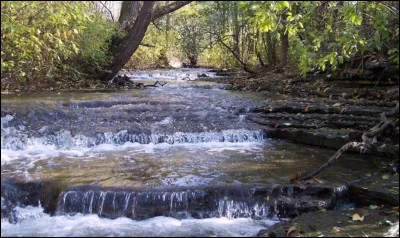 Aimes-tu la nature ?