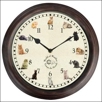 Quelle est cette photo ?