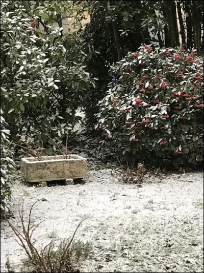 Quel est le lieu où vous vous sentez le mieux ?