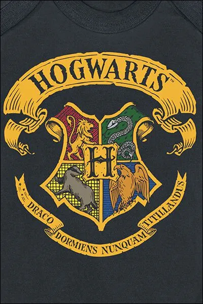 Quelle est votre maison préférée de Poudlard ?