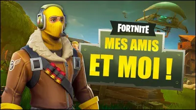 Combien d'amis as-tu sur Fortnite ?