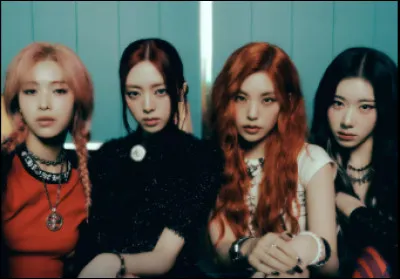 Si tu &eacute;tais dans un groupe, tu serais...