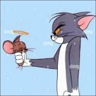 Qui sont les ennemis de Tom ?