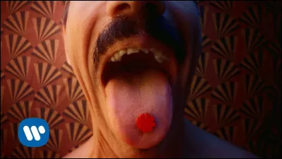 Qui chante "Tippa My Tongue" ?