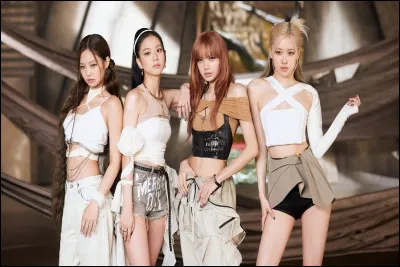 Si tu étais dans un groupe, tu serais...