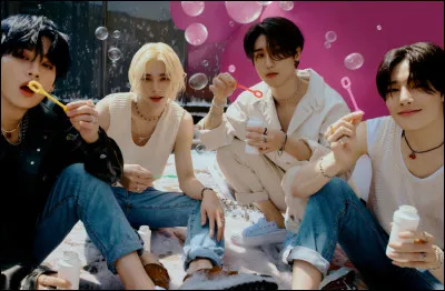 Quelle chanson de l'album ROCK-STAR préfères-tu ?