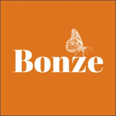 Qu'est-ce qu'un ''bonze'' ?