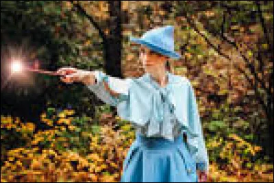 De quelle couleur est le maillot de bain de Fleur Delacour ?