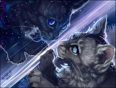 Je suis lun des chats qui te comprend le mieux Plume de Jais ! Jai aussi eu une compagne interdite et nous avons aussi eu des chatons interdits. Mais il ma tué. Toi, tu as la chance davoir des chatons incroyables contrairement à moi. Jen ai honte pour moi. Qui suis-je ?