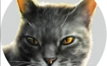 Quiz Erin hunter
