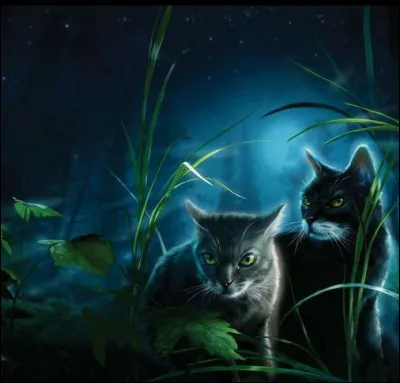 Dis Aile de Faucon. Tu penses que mon nom de guerrier aurait été quoi ? J'aimais la nourriture de bipèdes en j'en suis mort dans un incendie. Comme mon pelage tiens ! Je veux te rassurer car tu penses sans cesse à moi et cela t'empoissonne la vie.