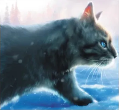 Mon guerrier aux ailes de faucon tu mérites d’être heureux (vraiment dit dans le Voyage d’Aile de Faucon). Je suis la meilleure amie d’Étoile de Feuille. Je suis celle qui a rêvé de l’étincelle qui nous sauvera.