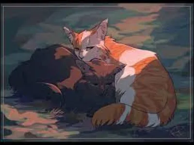 Tous deux tombent amoureux.