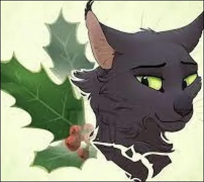 Feuille de Houx, à cause de ses remords, finit par retourner dans un Clan. Mais lequel ?