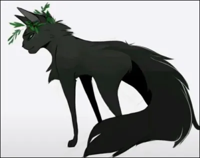 Si oui, quel est son pouvoir ?