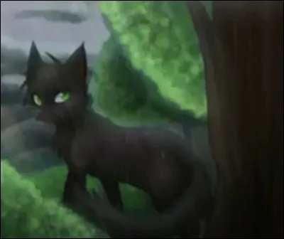 Par quoi Feuille de Houx est-elle obsédée ?