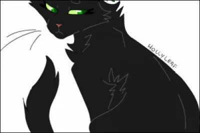 Quelle est sa phobie ? (Oui, elle a bien une phobie !)