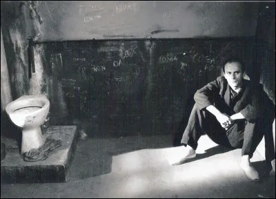 À bien reporter, ce n'est pas un chien-loup mais la moitié seulement !