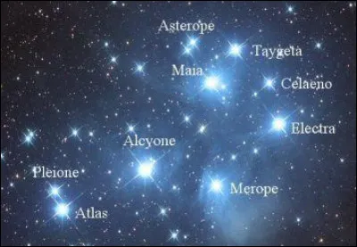 Mignonnes sont les allées du jardin du château de Talcy, les roses y sont décloses.