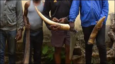 Il n'avait pas les cheveux au vent mais comme disait son compagnon : les semelles !