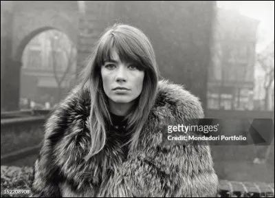 Un gros, un petit, un malin, un idiot, un dominant, un souffre-douleur, qui sont-ce ?