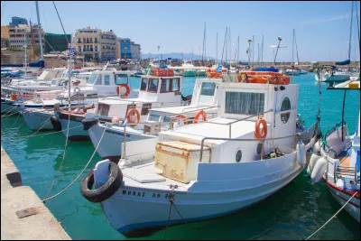 15 août 1944 : Que se passe-t-il en ce jour de l'Assomption ?