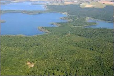 Quel est ce grand massif forestier de 10 000 ha, situé dans un parc naturel régional, situé à l'est de Troyes ?