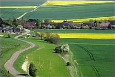 Cette région naturelle, faite en grande partie de prairies et de collines boisées, s'étend sur l'ouest du département, entre la Champagne crayeuse et la Champagne humide, c'est ...