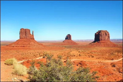 En Amérique, tu vois un homme tout nu à côté d'un cadavre froid. Que fais-tu ?