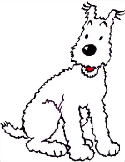 Le célèbre Milou, compagnon de Tintin, appartient à la belle race du...