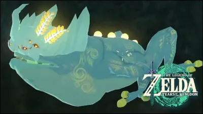Combien y a-t-il d'Elusis dans "Zelda : Tears of the Kingdom" ?
