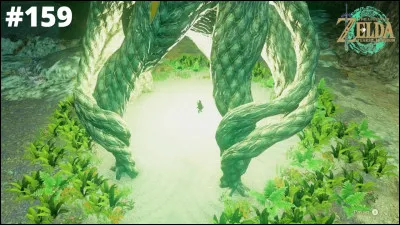 Combien y a-t-il de racines ?