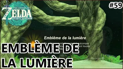 A quoi sert l'emblème de la lumière ?