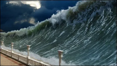 Tu es sur la plage en détente absolue, quand soudain on annonce un tsunami ! Que fais-tu ?