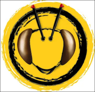 Quel est le nom ce groupe musical formé en 2001 au Pérou ?