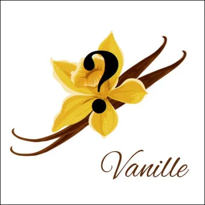 Qu'est ce que la vanille ?