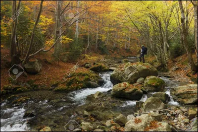 Aimes-tu la nature ?