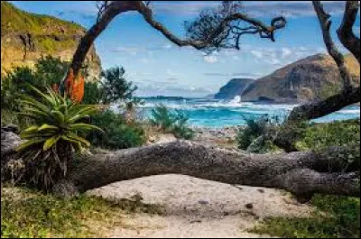 Quel est le nom de l'arbuste épineux qui est adapté aux environnements arides et semi-arides d'Afrique et qui est utilisé par les populations locales pour la fabrication de médicaments traditionnels et de matériaux de construction ?