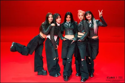 Quelle position voudrais-tu avoir dans un groupe de K-pop ?