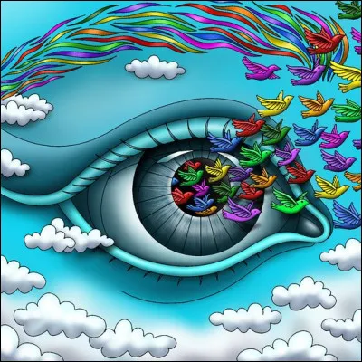 Quel est le nom de ce qu'on appelle couramment le "blanc de l'il" ?